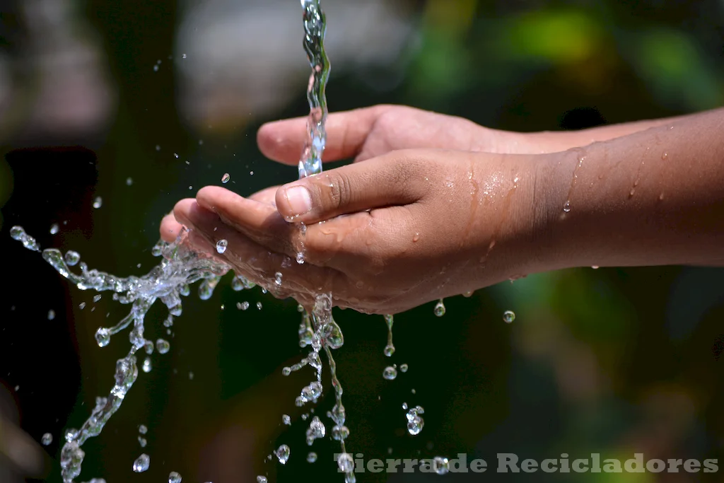 La educación y conciencia son clave para proteger el agua