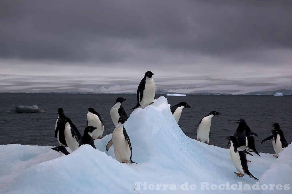 El derretimiento acelera el ritmo del cambio climático