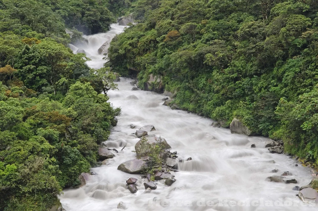 Ecosistemas acuáticos de agua dulce en acción