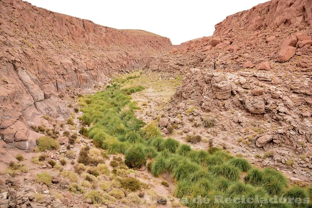 La erosión antropógenica afecta a la biodiversidad