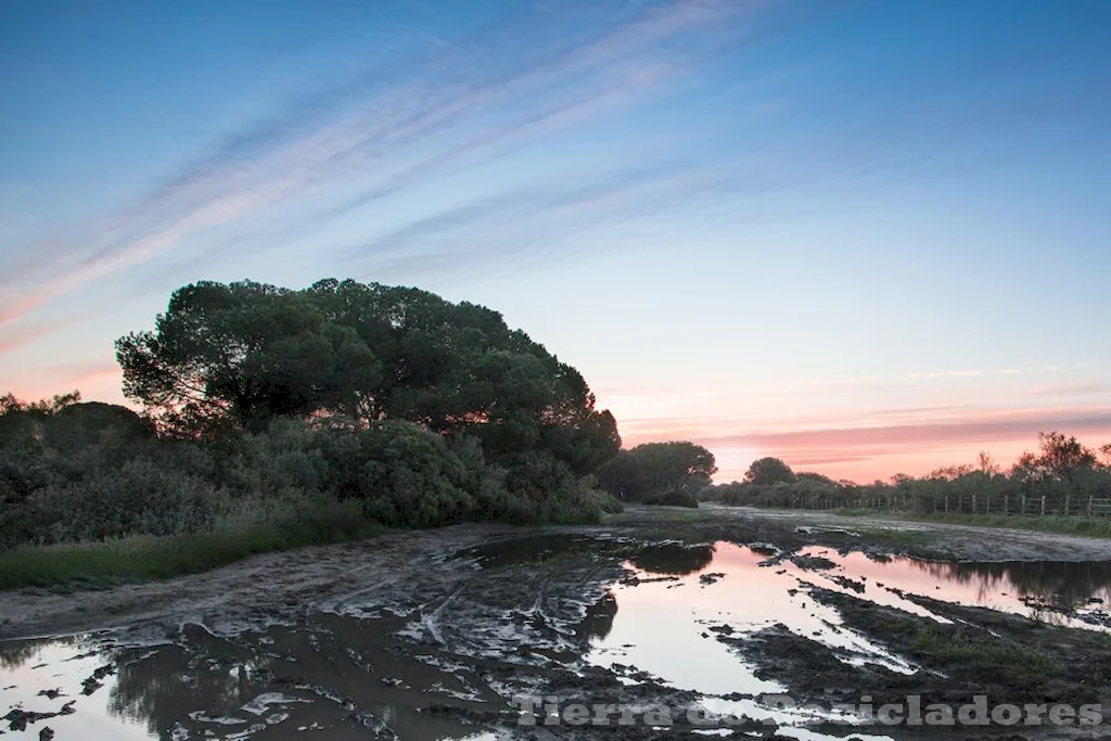 El patrimonio natural español se conserva