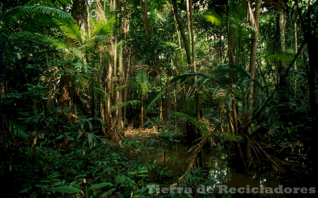 Recursos naturales en diversas regiones