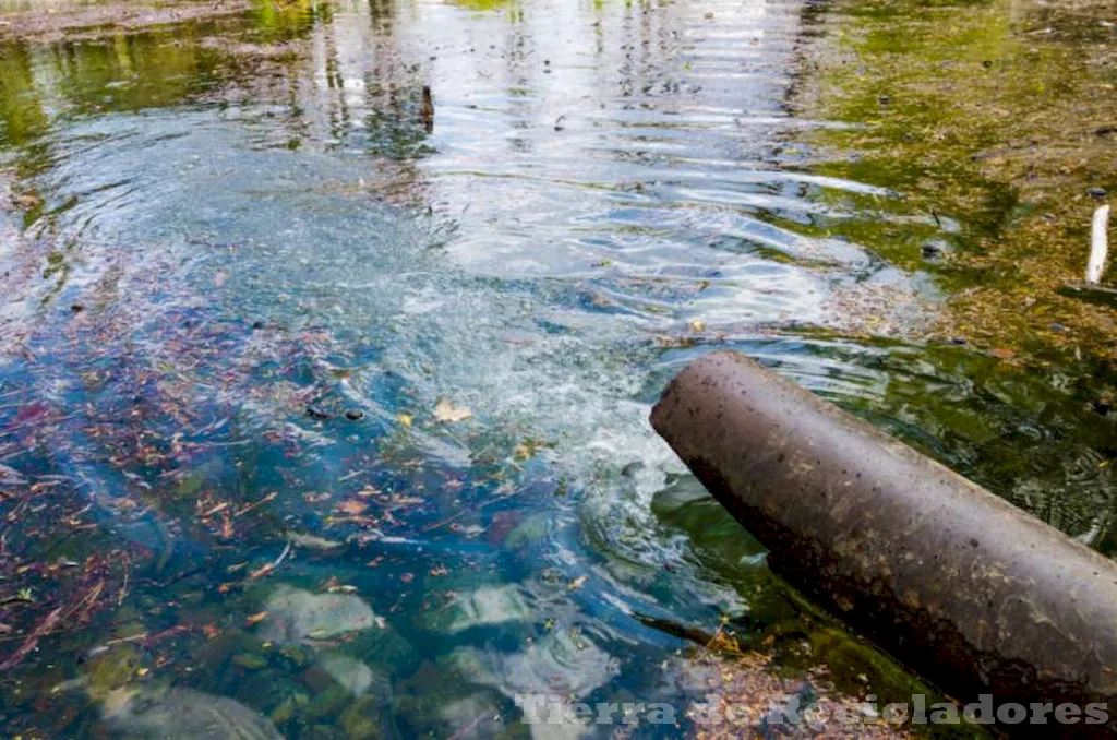 El agua puede contener otros agentes patógenos