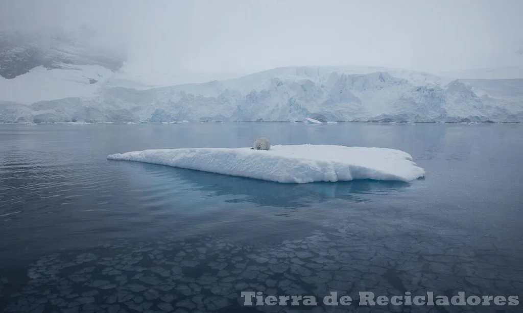 Adaptándose a los cambios climáticos