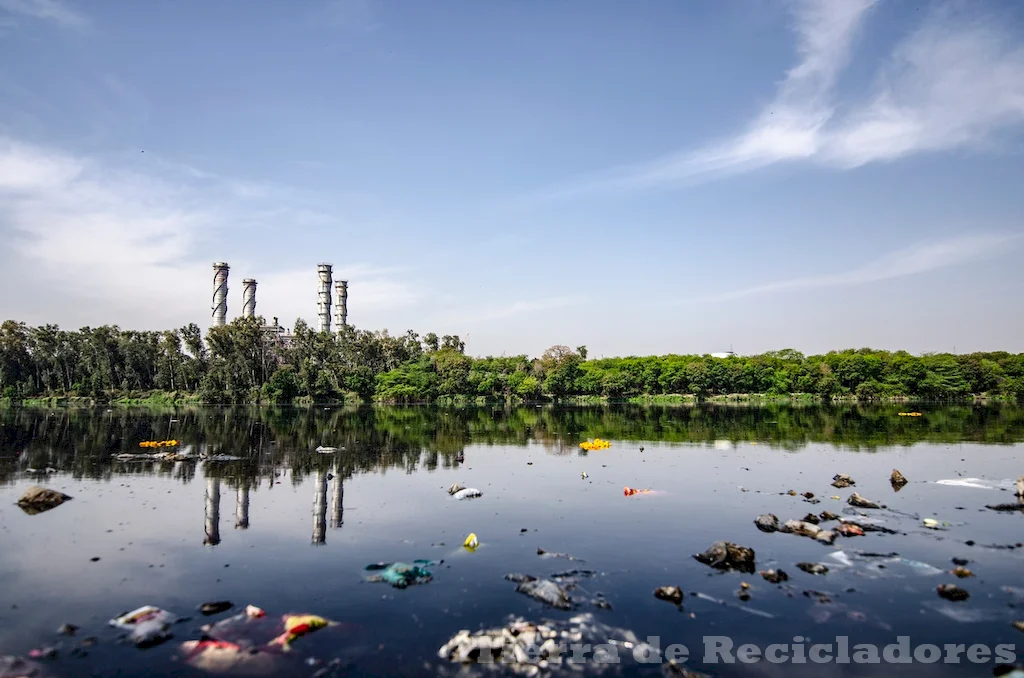 El estrés y la sobrevivencia en ecosistemas marinos afectados