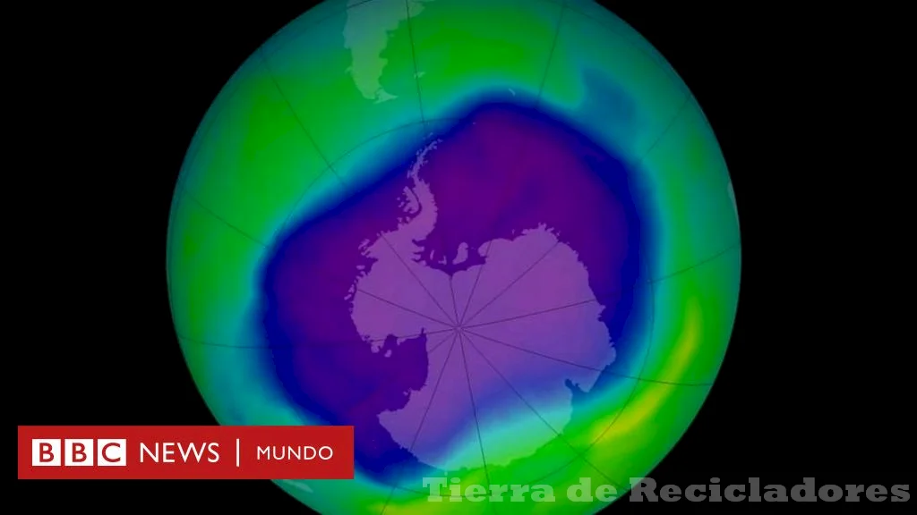 La importancia del ozono en la protección del medio ambiente