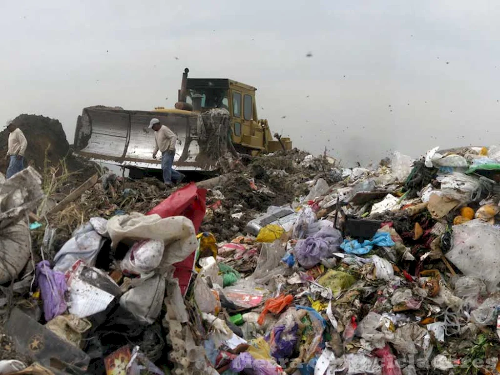 Consecuencias y causas de la contaminación por residuos en el medio ambiente