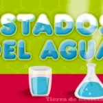 Consejos fáciles y divertidos para aprender sobre los estados físicos del agua