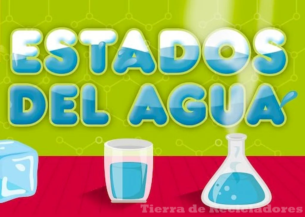 Consejos fáciles y divertidos para aprender sobre los estados físicos del agua