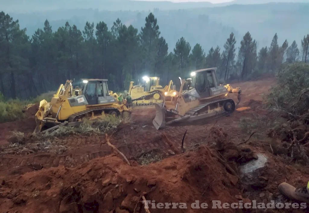 El uso excesivo de plaguicidas está afectando negativamente el medio ambiente