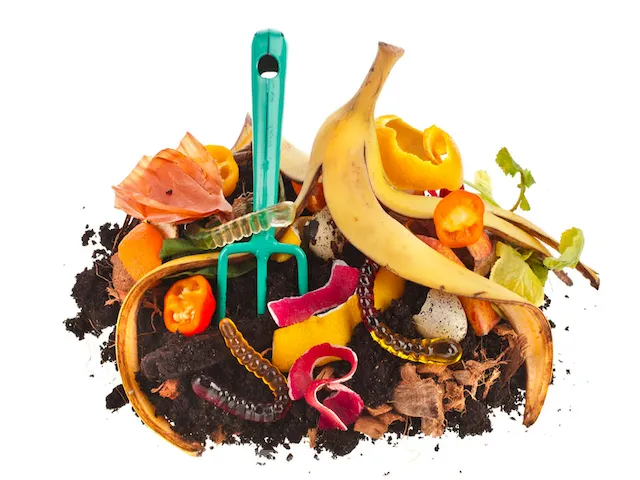 Evita alimentos procesados y productos animales en compostera