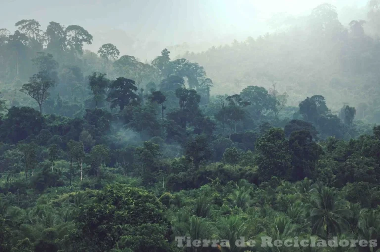 La biodiversidad es fundamental para entender la naturaleza