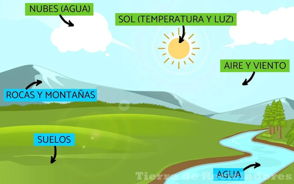 Los factores físicos naturales que influyen en el medio ambiente