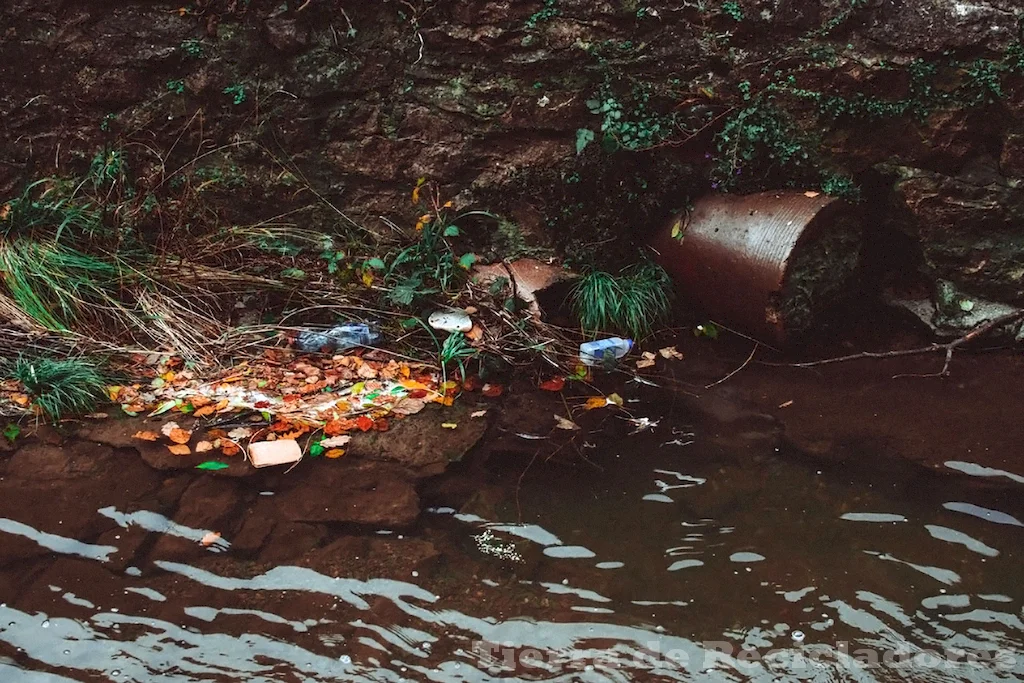 La contaminación del agua se debe a fuentes y agentes múltiples