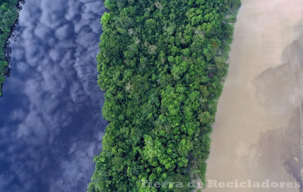 La biodiversidad en los ecosistemas terrestres