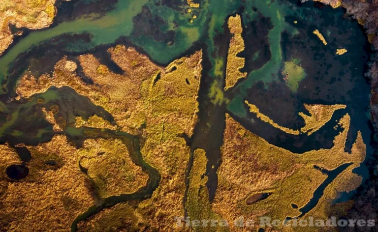 El estudio ambiental evoluciona para proteger nuestro planeta