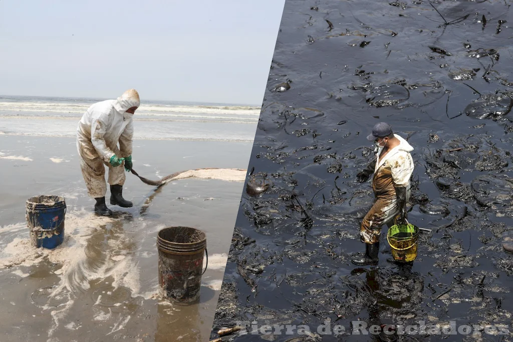 El impacto negativo del petróleo sobre la vida silvestre