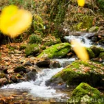 Un equilibrio entre el progreso y la protección del medio ambiente