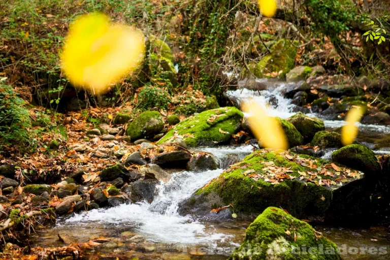 Un equilibrio entre el progreso y la protección del medio ambiente