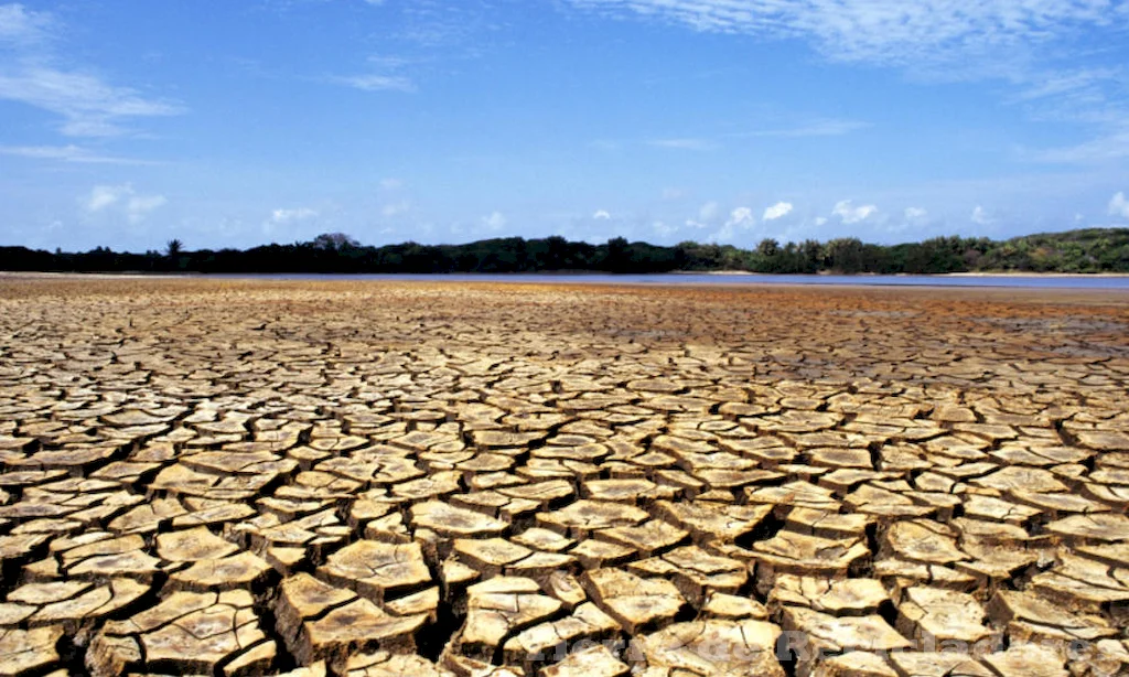 Desastre ecológico en la costa consecuencias para la población