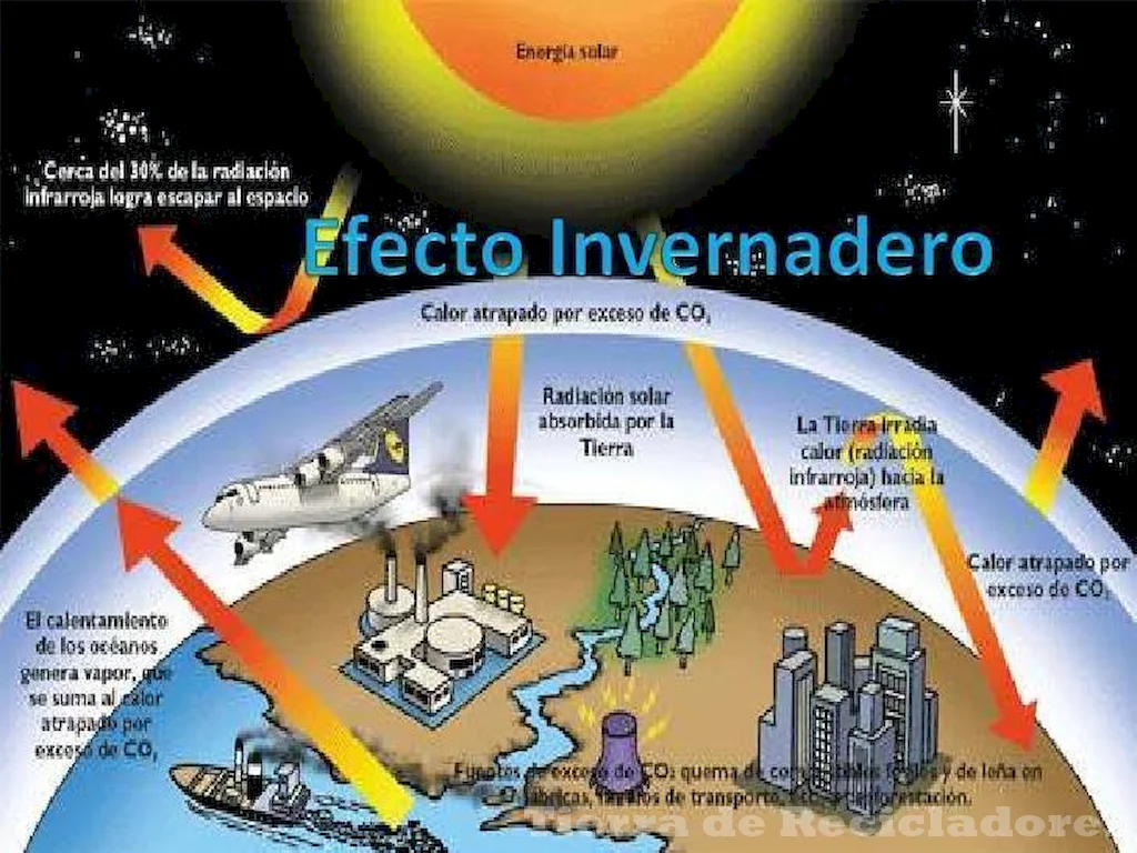 Los seres humanos están teniendo un impacto significativo en el medio ambiente