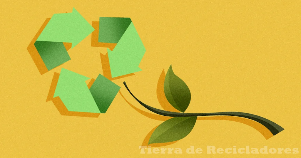 La educación ambiental es clave para un futuro más sostenible