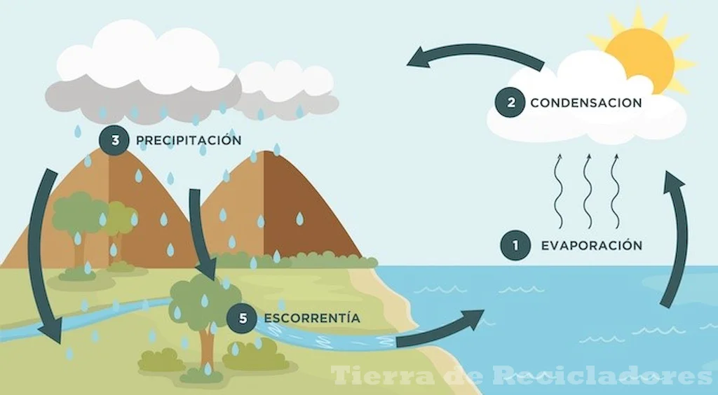 La evaporación y condensación son fundamentales para mantener el equilibrio del agua en la tierra