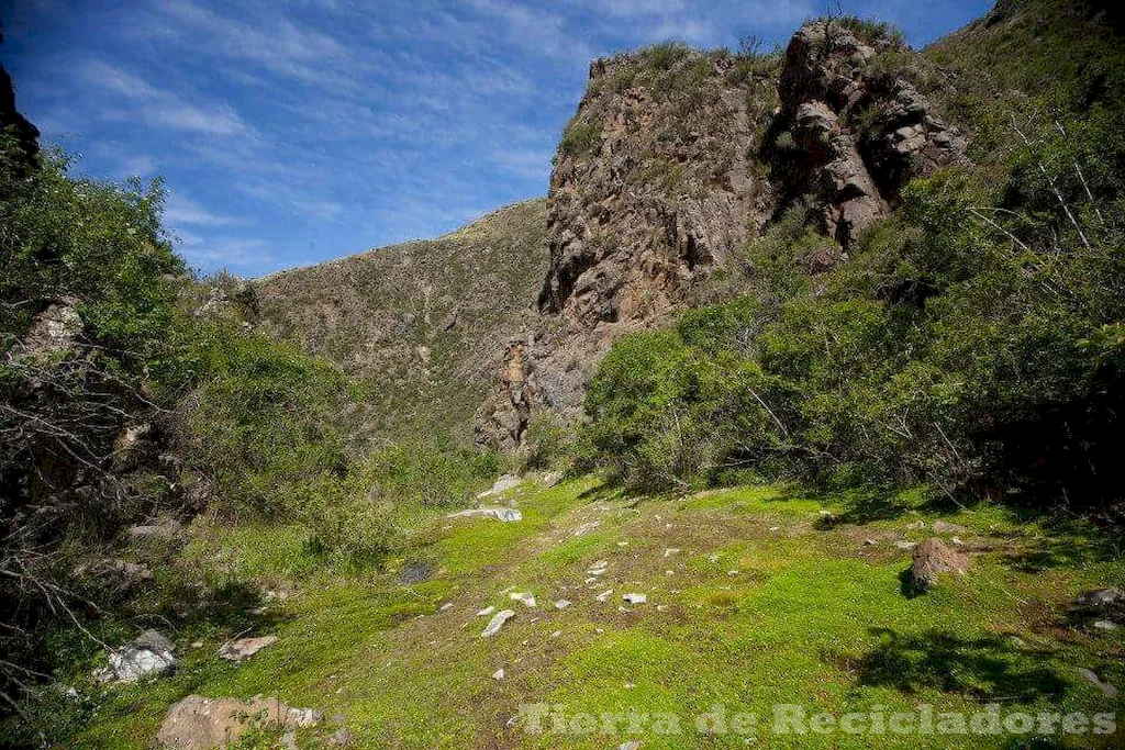 La protección y restauración de los humedales