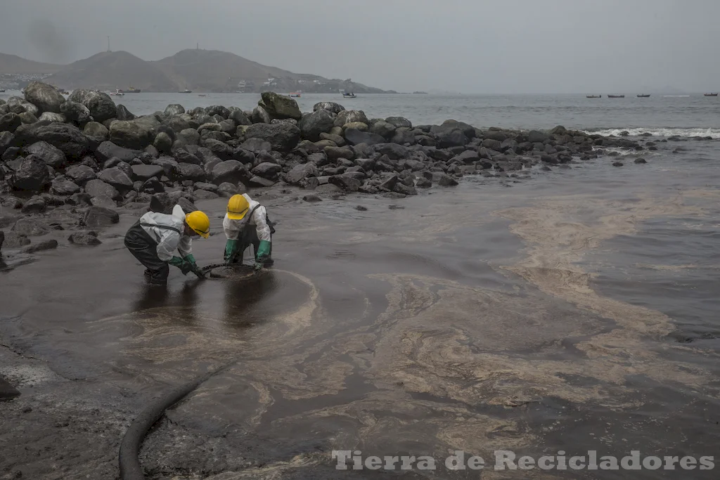 El papel crítico de los océanos en la conservación del planeta