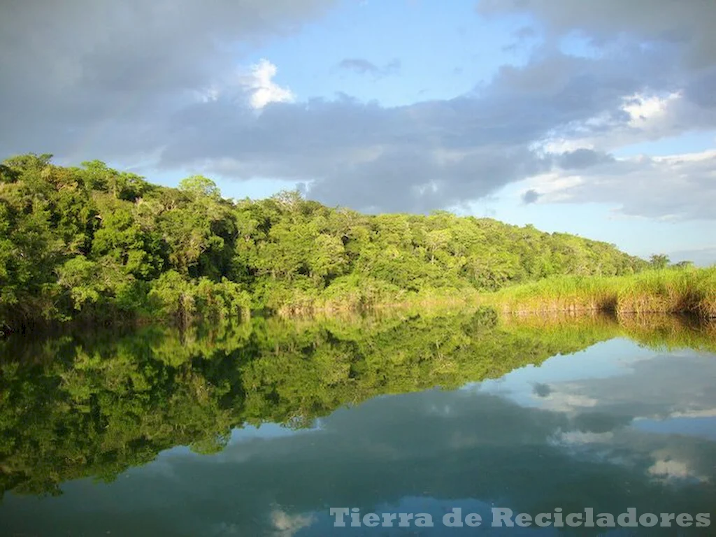 Conservar y restaurar ecosistemas naturales