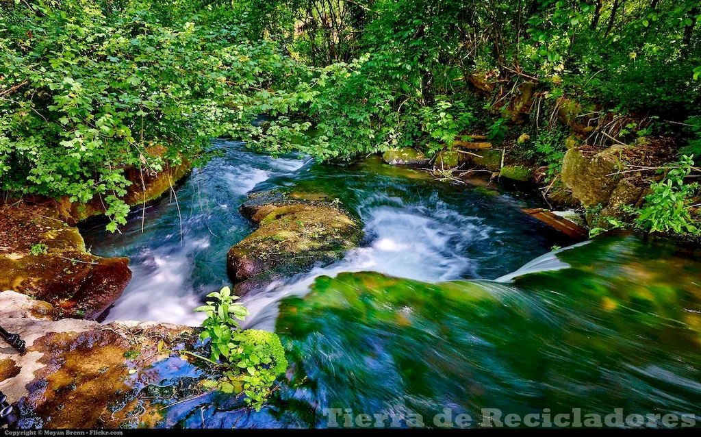 El patrimonio natural es clave para proteger el medio ambiente