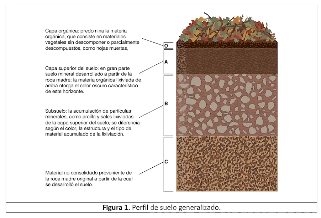 Explorando el paisaje subterráneo