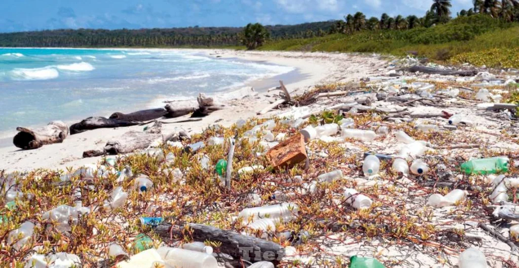 La lucha contra la contaminación marina