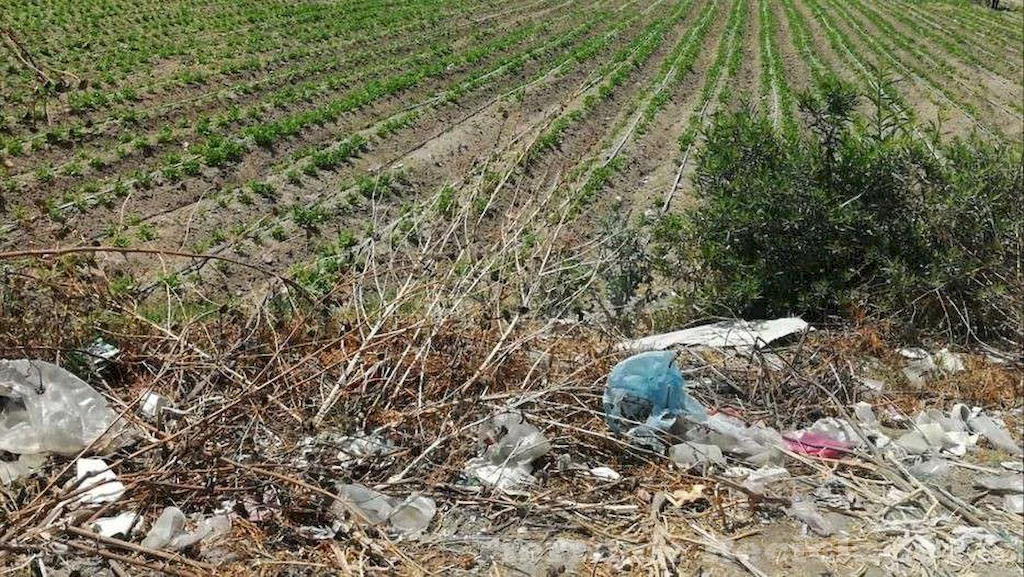 El uso excesivo de plaguicidas está teniendo graves consecuencias para el medio ambiente