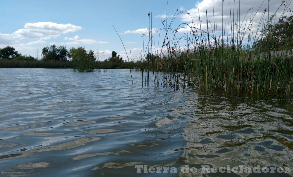 La protección del medio ambiente y la conservación de los humedales