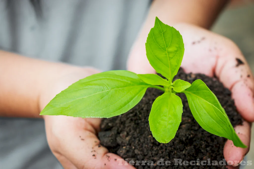 Conservar nuestro planeta para el futuro