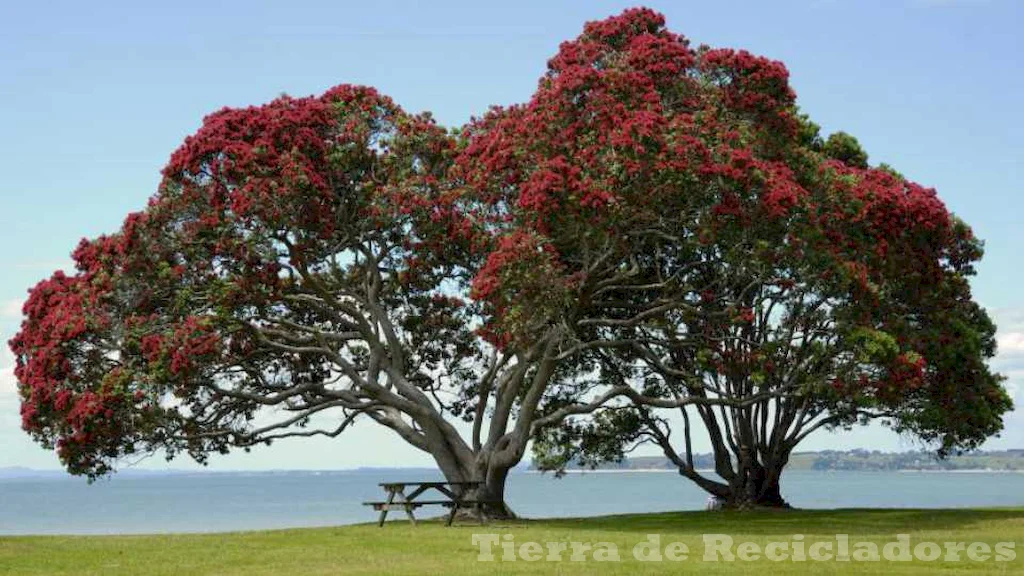 La naturaleza se recupera gracias a nuestra acción