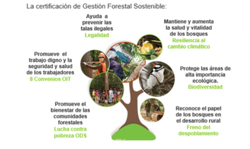 Preservar la salud del planeta y sus recursos