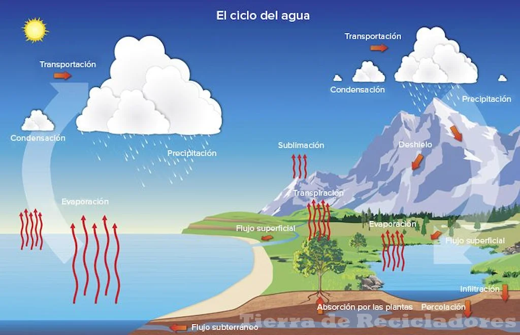 El ciclo natural del agua es fundamental para el equilibrio ecológico