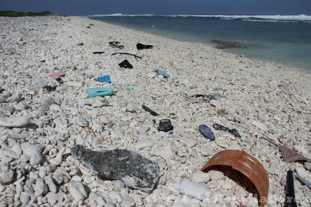 El peligro oculto detrás del uso de plásticos biodegradables