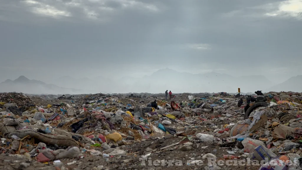 La relación entre la basura y la pérdida de biodiversidad