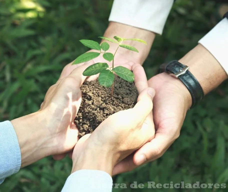 La importancia de los límites y responsabilidades en la protección del medio ambiente