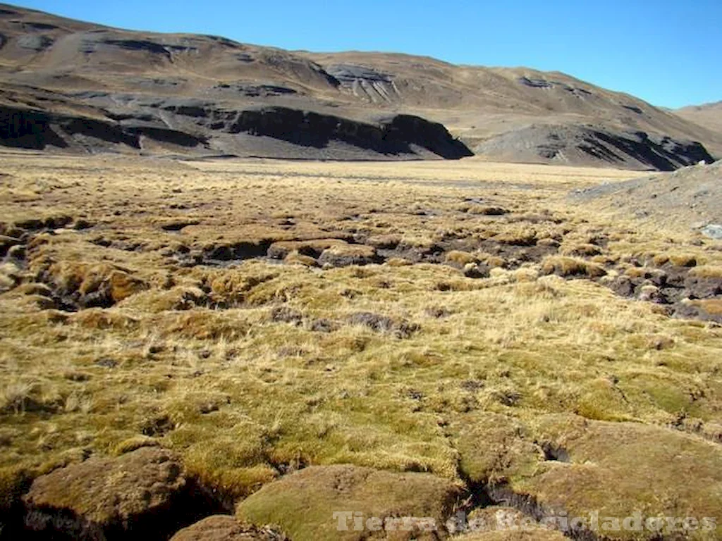 Conocer la llanura aluvial