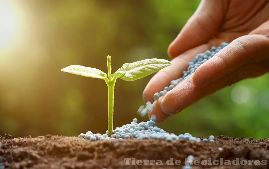 La protección ambiental mejora la calidad del suelo y el agua