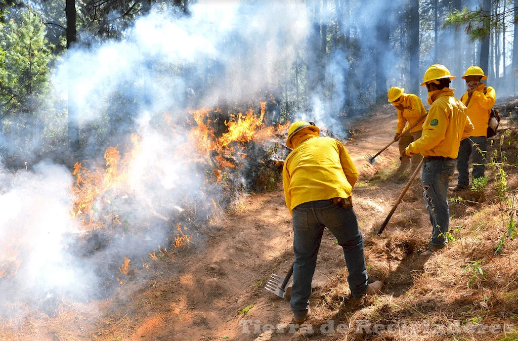 Preparándonos para apagar el fuego