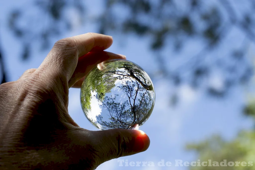 Combatir el cambio climático con políticas y acciones efectivas