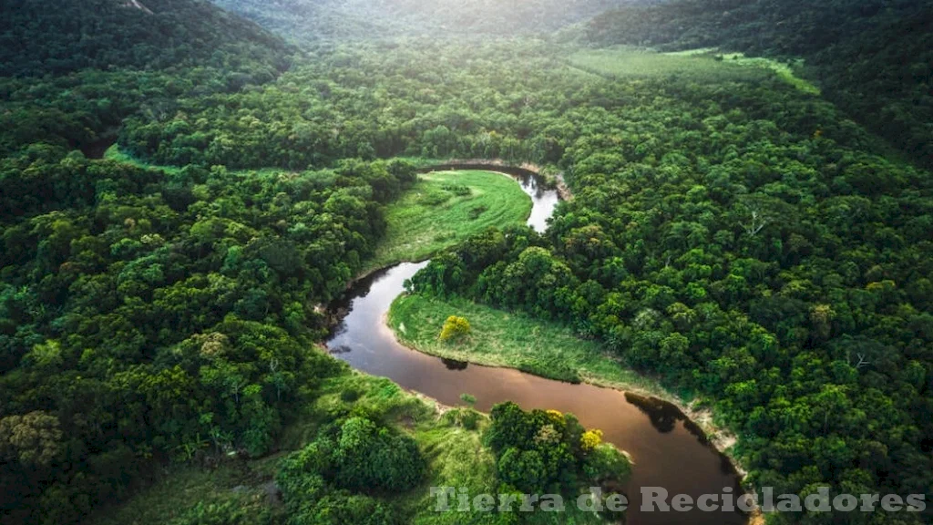 El motor innovador revoluciona el sector energético