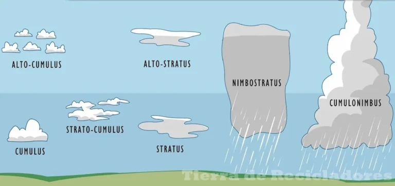 La formación de nubes estratósfericas y sus características