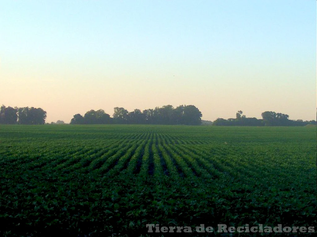 Un equilibrio ecológico en el medio ambiente