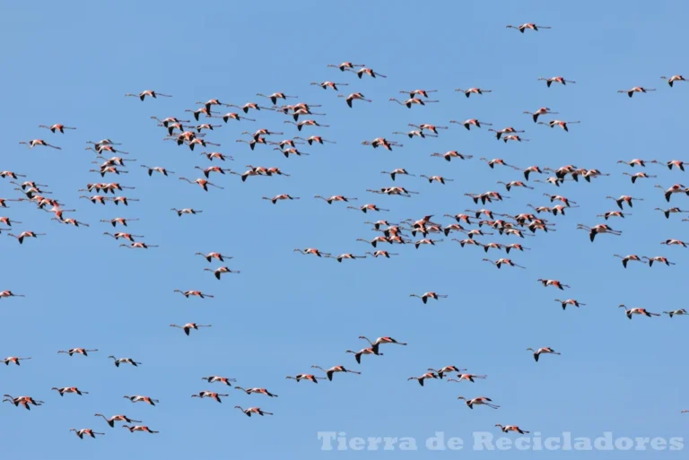 Descubriendo los secretos del Océano Atlántico